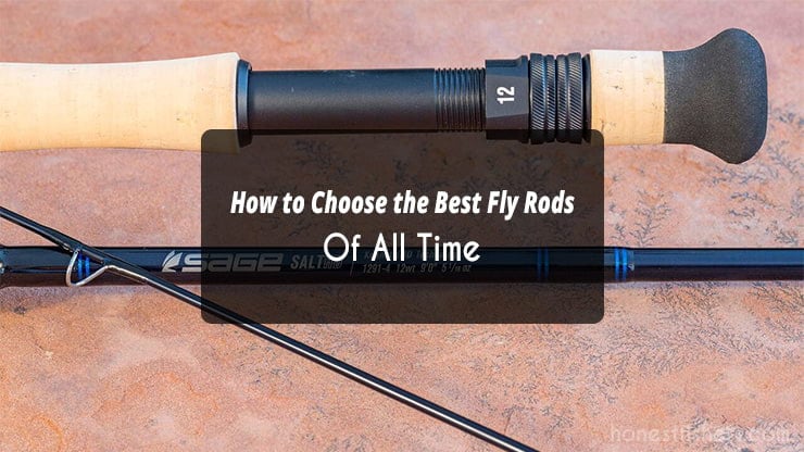 How to Choose the Best Fly Rods Of All Time