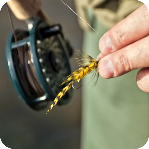 Fly Fishing - Home Page Header One
