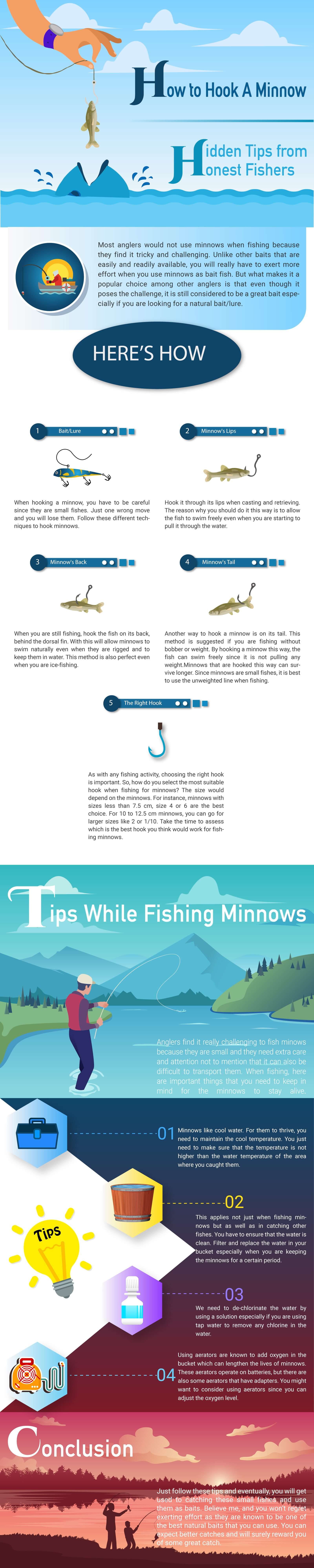 How to Hook a Minnow Hidden Tips from Honest Fishers How to Hook a Minnow