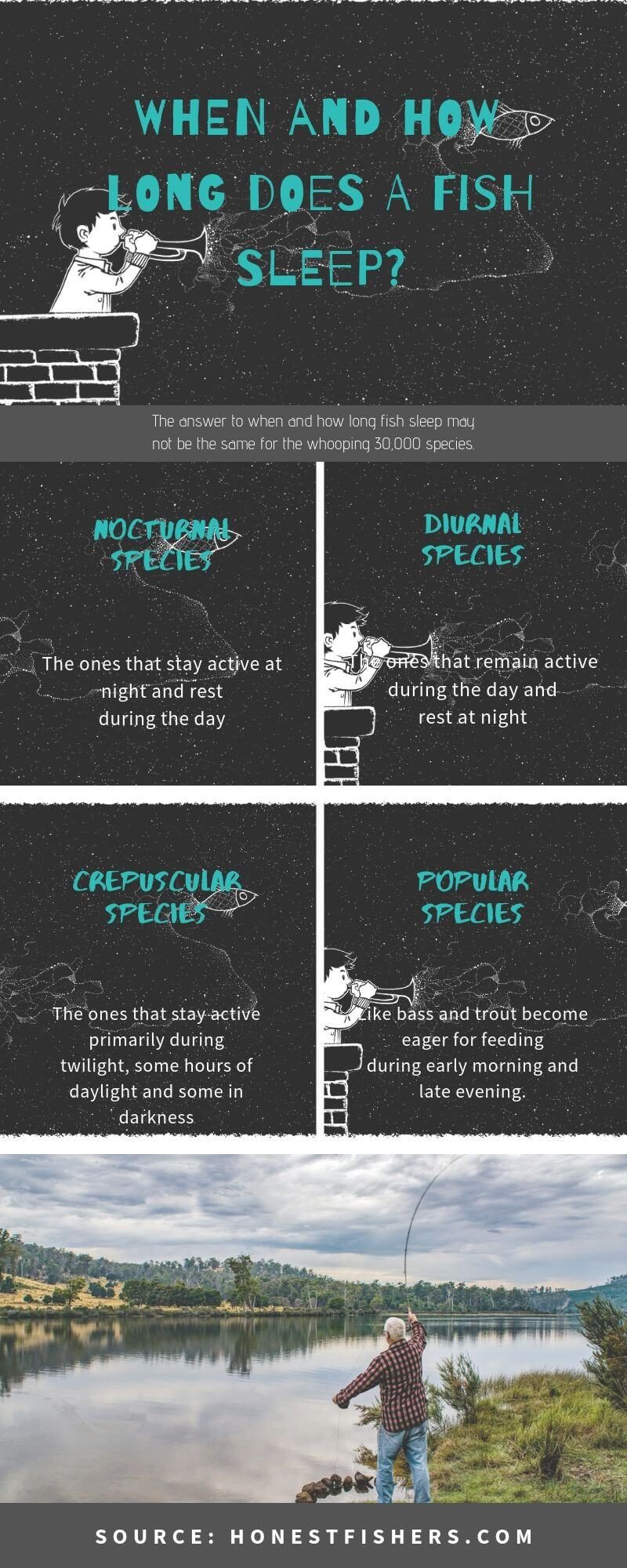 When and How Long Does a Fish Sleep? When and How Long Does a Fish Sleep?